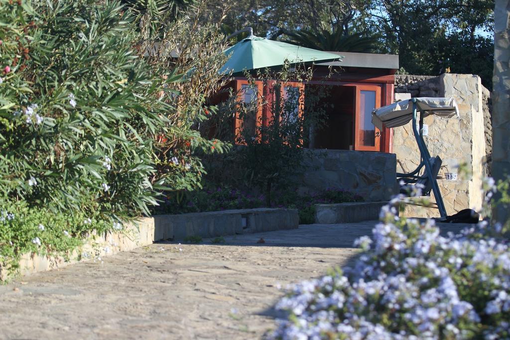Case Vacanze La Cernia Bruna Isola di Ustica Dış mekan fotoğraf