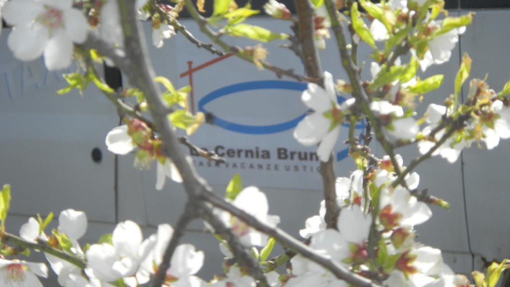 Case Vacanze La Cernia Bruna Isola di Ustica Dış mekan fotoğraf