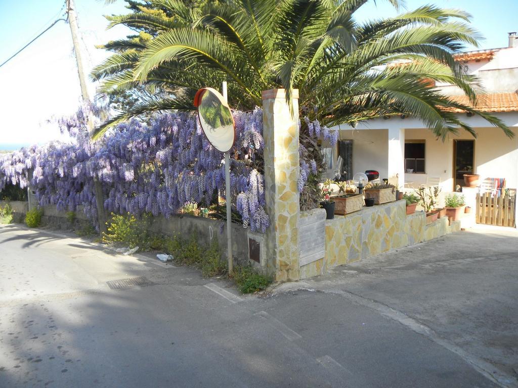 Case Vacanze La Cernia Bruna Isola di Ustica Dış mekan fotoğraf